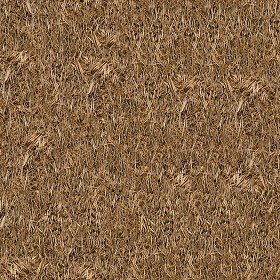 Textures   -   ARCHITECTURE   -   ROOFINGS   -   Thatched roofs  - Thatched roof texture seamless 04055 (seamless)
