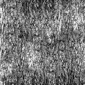 Textures   -   NATURE ELEMENTS   -   BARK  - Bark texture seamless 12326 - Bump