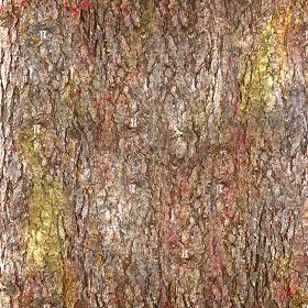 Textures   -   NATURE ELEMENTS   -  BARK - Bark texture seamless 12326