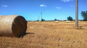 Textures   -   BACKGROUNDS &amp; LANDSCAPES   -   NATURE   -  Countrysides &amp; Hills - Countryside landscape with hay rolls 17614