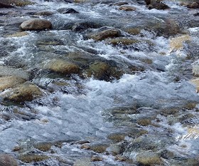Textures   -   NATURE ELEMENTS   -   WATER   -  Streams - Foam water streams texture seamless 13306