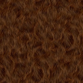 Textures   -   MATERIALS   -   FUR ANIMAL  - Faux fake fur animal texture seamless 09571 (seamless)