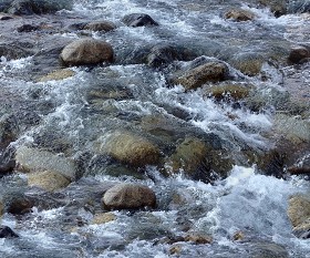 Textures   -   NATURE ELEMENTS   -   WATER   -  Streams - Foam water streams texture seamless 13307