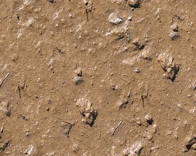 Textures   -   NATURE ELEMENTS   -   SOIL   -  Mud - Mud texture seamless 12892