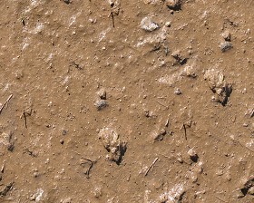 Textures   -   NATURE ELEMENTS   -   SOIL   -   Mud  - Mud texture seamless 12892 (seamless)