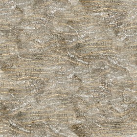 Textures   -   NATURE ELEMENTS   -   BARK  - Palm bark texture seamless 12327 (seamless)