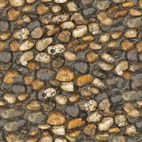 Textures   -   ARCHITECTURE   -   ROADS   -   Paving streets   -  Rounded cobble - Rounded cobblestone texture seamless 07503