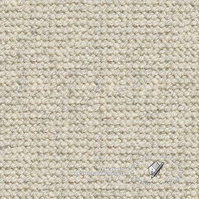 Textures   -   MATERIALS   -   CARPETING   -  White tones - White wool carpeting texture seamless 20517