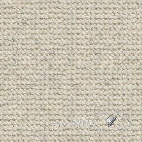 Textures   -   MATERIALS   -   CARPETING   -   White tones  - White wool carpeting texture seamless 20517 (seamless)