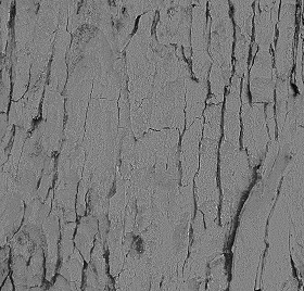 Textures   -   NATURE ELEMENTS   -   BARK  - Bark texture seamless 12328 - Bump