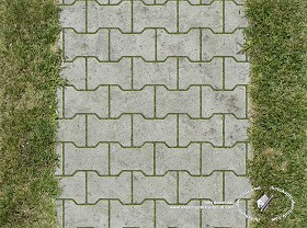 Textures   -   ARCHITECTURE   -   PAVING OUTDOOR   -  Parks Paving - Concrete block park paving texture seamless 18684