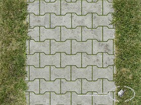 Textures   -   ARCHITECTURE   -   PAVING OUTDOOR   -   Parks Paving  - Concrete block park paving texture seamless 18684 (seamless)