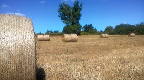 Textures   -   BACKGROUNDS &amp; LANDSCAPES   -   NATURE   -  Countrysides &amp; Hills - Countryside landscape with hay rolls 17616