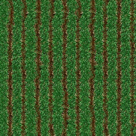 Textures   -   NATURE ELEMENTS   -   VEGETATION   -  Green grass - Green grass texture seamless 12988