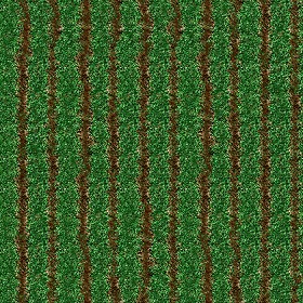 Textures   -   NATURE ELEMENTS   -   VEGETATION   -   Green grass  - Green grass texture seamless 12988 (seamless)