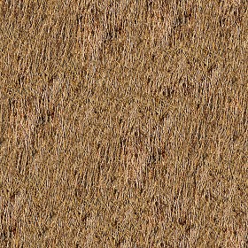 Textures   -   ARCHITECTURE   -   ROOFINGS   -  Thatched roofs - Thatched roof texture seamless 04058