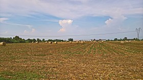 Textures   -   BACKGROUNDS &amp; LANDSCAPES   -   NATURE   -   Countrysides &amp; Hills  - Countryside landscape with hay rolls 17617