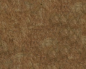 Textures   -   NATURE ELEMENTS   -   SOIL   -   Ground  - Ground texture seamless 12832 (seamless)