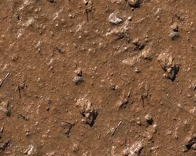 Textures   -   NATURE ELEMENTS   -   SOIL   -  Mud - Mud texture seamless 12894