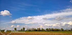 Textures   -   BACKGROUNDS &amp; LANDSCAPES   -   SKY &amp; CLOUDS  - Sky with trees line background 17800