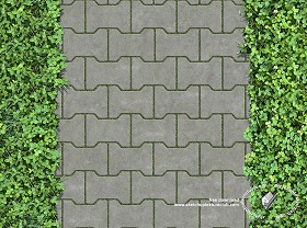 Textures   -   ARCHITECTURE   -   PAVING OUTDOOR   -  Parks Paving - Concrete block park paving texture seamless 18686