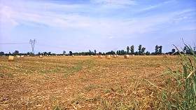 Textures   -   BACKGROUNDS &amp; LANDSCAPES   -   NATURE   -   Countrysides &amp; Hills  - Countryside landscape with hay rolls 17618