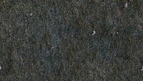 Textures   -   NATURE ELEMENTS   -   VEGETATION   -  Dry grass - Dry grass texture seamless 12936
