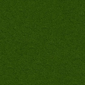 Textures   -   MATERIALS   -   CARPETING   -   Green tones  - Green outdoor carpeting texture seamless 16723 (seamless)