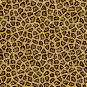 Textures   -   MATERIALS   -   FUR ANIMAL  - Leopard faux fake fur animal texture seamless 09574 (seamless)