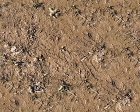 Textures   -   NATURE ELEMENTS   -   SOIL   -   Mud  - Mud texture seamless 12895 (seamless)