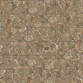 Textures   -   ARCHITECTURE   -   TILES INTERIOR   -   Marble tiles   -  Brown - Rasotica brown marble tile texture seamless 14202