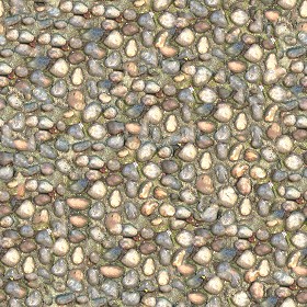 Textures   -   ARCHITECTURE   -   ROADS   -   Paving streets   -  Rounded cobble - Rounded cobblestone texture seamless 07506