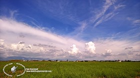 Textures   -   BACKGROUNDS &amp; LANDSCAPES   -  SKY &amp; CLOUDS - Sky with rural background 17801