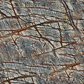 Textures   -   ARCHITECTURE   -   MARBLE SLABS   -   Brown  - Slab marble forest brown texture seamless 01991 (seamless)