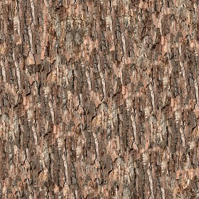Textures   -   NATURE ELEMENTS   -   BARK  - Bark texture seamless 12331 (seamless)