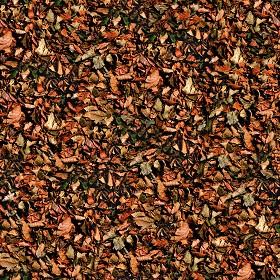 Textures   -   NATURE ELEMENTS   -   VEGETATION   -  Leaves dead - Leaves dead texture seamless 13140