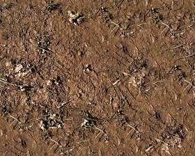 Textures   -   NATURE ELEMENTS   -   SOIL   -   Mud  - Mud texture seamless 12896 (seamless)