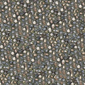 Textures   -   ARCHITECTURE   -   ROADS   -   Paving streets   -   Rounded cobble  - Rounded cobblestone texture seamless 07507 (seamless)