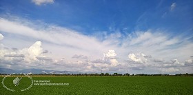 Textures   -   BACKGROUNDS &amp; LANDSCAPES   -  SKY &amp; CLOUDS - Sky with rural background 17802