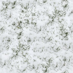 Textures   -   NATURE ELEMENTS   -  SNOW - Snow with grass texture seamless 12791