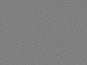 Textures   -   NATURE ELEMENTS   -   SAND  - Underwater beach sand texture seamless 12723 - Bump