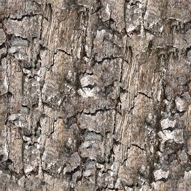 Textures   -   NATURE ELEMENTS   -   BARK  - Bark texture seamless 12332 (seamless)