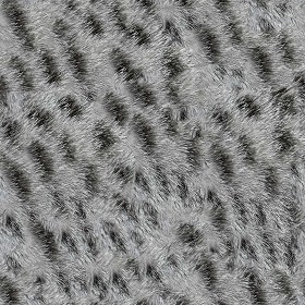 Textures   -   MATERIALS   -  FUR ANIMAL - Cat animal fur texture seamless 09726