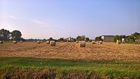 Textures   -   BACKGROUNDS &amp; LANDSCAPES   -   NATURE   -   Countrysides &amp; Hills  - Countryside landscape with hay rolls 17620