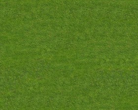 Textures   -   NATURE ELEMENTS   -   VEGETATION   -   Green grass  - Green grass texture seamless 12991 (seamless)
