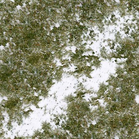 Textures   -   NATURE ELEMENTS   -   SNOW  - Snow with grass texture seamless 12792 (seamless)