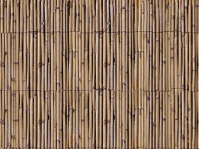 Textures   -   NATURE ELEMENTS   -  BAMBOO - Bamboo fence texture seamless 12292