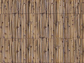 Textures   -   NATURE ELEMENTS   -   BAMBOO  - Bamboo fence texture seamless 12292 (seamless)