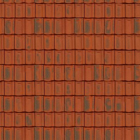 Textures   -   ARCHITECTURE   -   ROOFINGS   -  Clay roofs - Clay roofing Jura texture seamless 03366