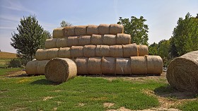 Textures   -   BACKGROUNDS &amp; LANDSCAPES   -   NATURE   -  Countrysides &amp; Hills - Countryside landscape with hay rolls 17621